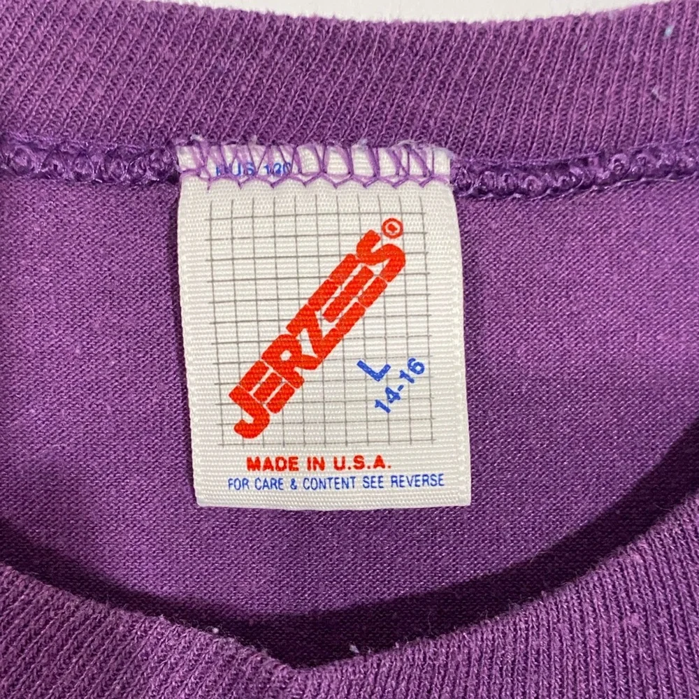 1988 Charlotte Hornets NBA Inaugural Season Tee USA MADE Vintage 80s Purple L
